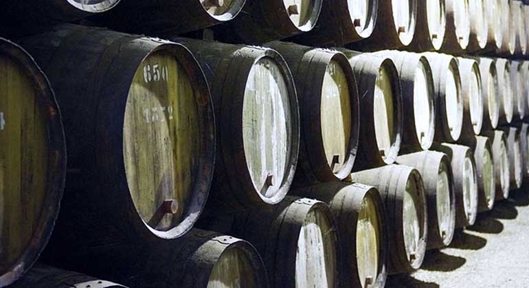 Base de datos de Bodegas de vino en España