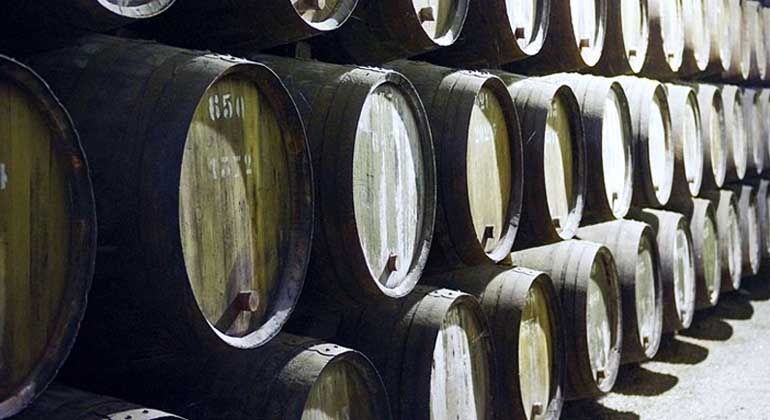 Base de datos de Bodegas de vino en Cataluña