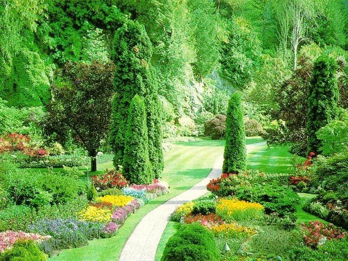 Base de datos de Empresas de Jardineria en Albacete