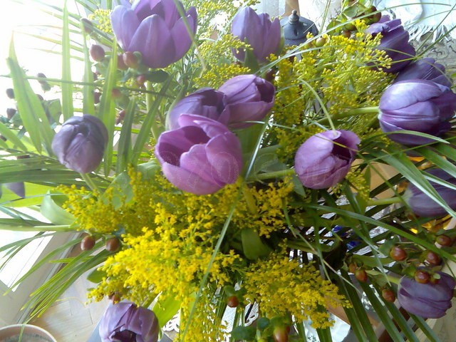 Base de datos de Floristerias en España