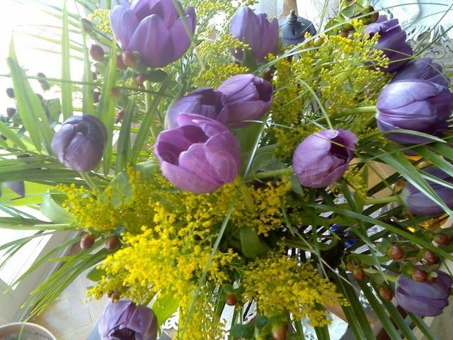 Base de datos de Floristerias en Cataluña