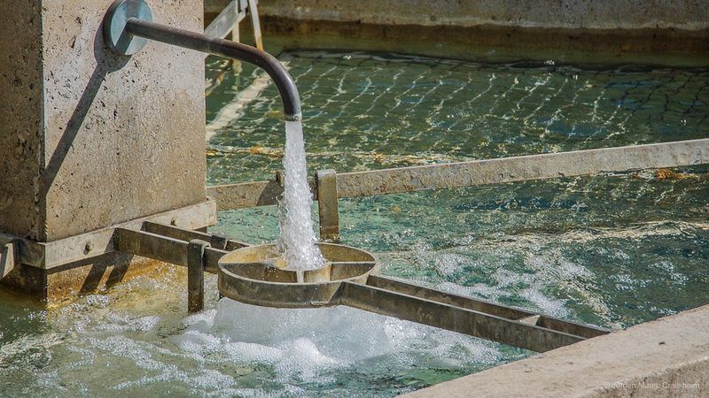 Base de datos de Empresas de Abastecimiento de agua en Cataluña