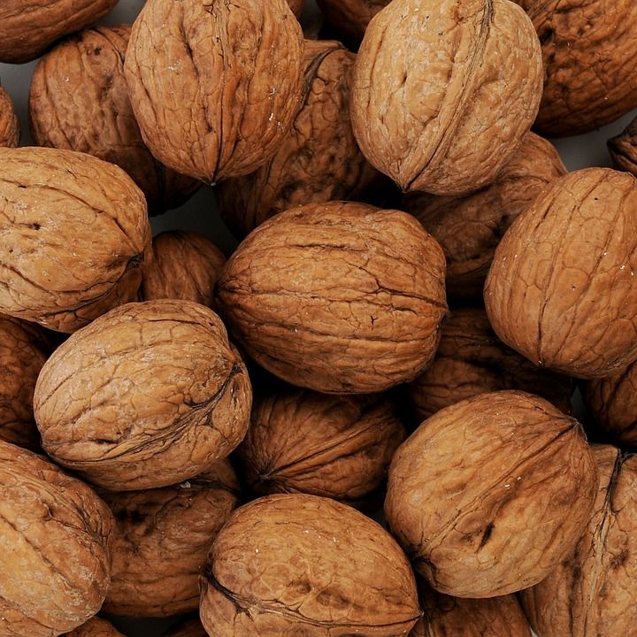 Base de datos de Empresas de Frutos secos en Cataluña