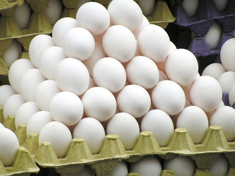Base de datos de Empresas de Huevos en España