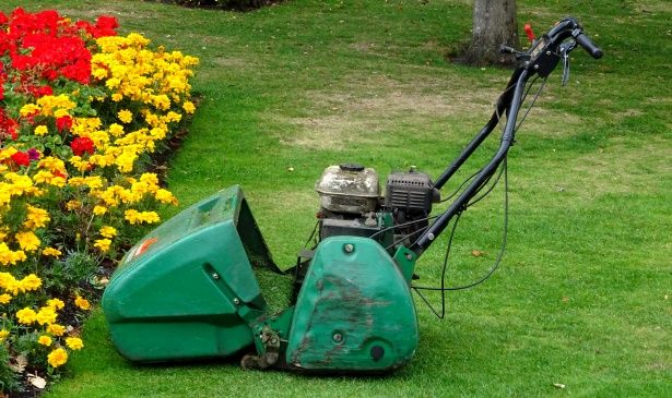 Base de datos de Empresas de Maquinaria para jardinería en Albacete